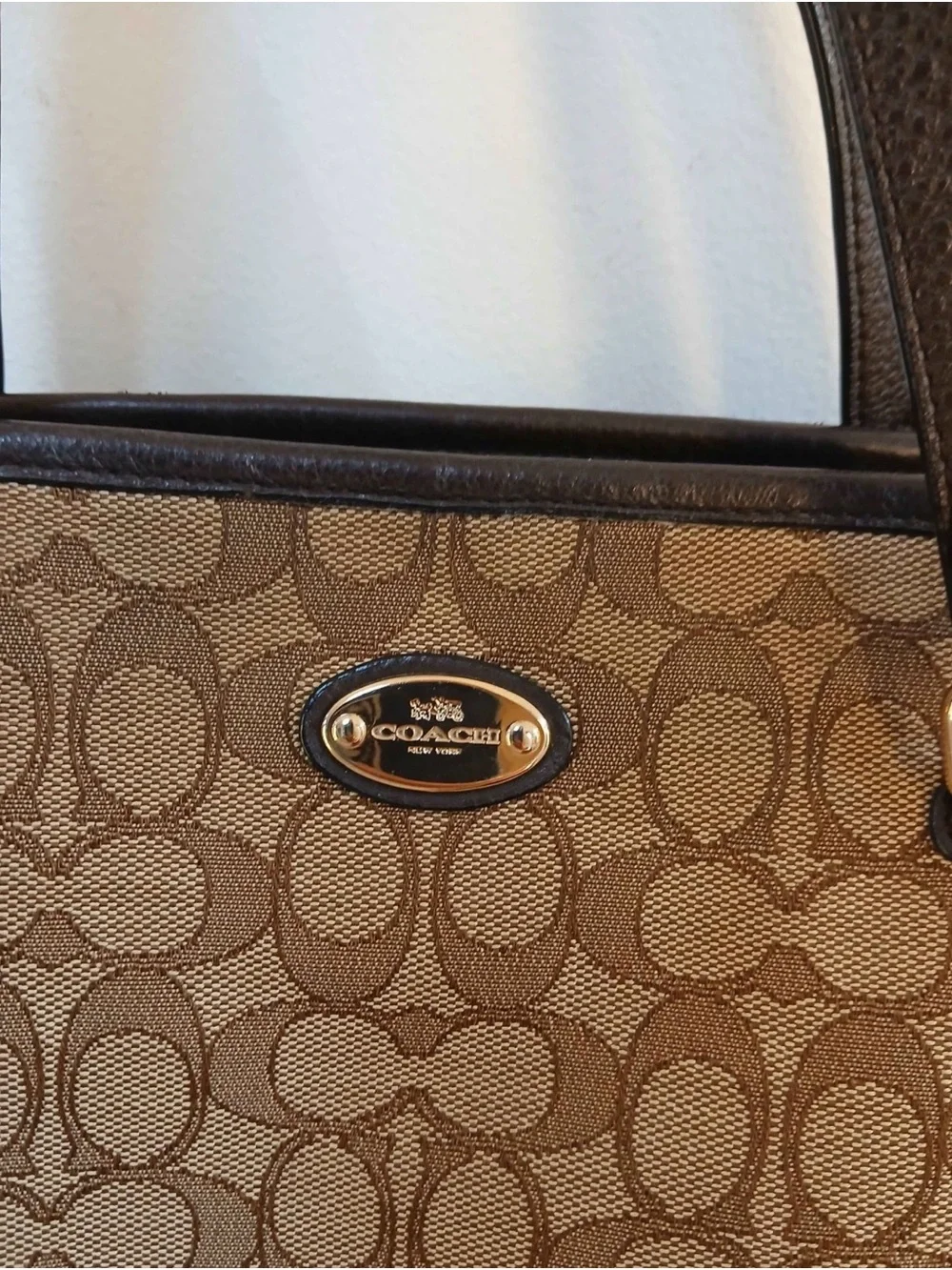 Coach Signature Canvas Tote in Brown and Dark Brown